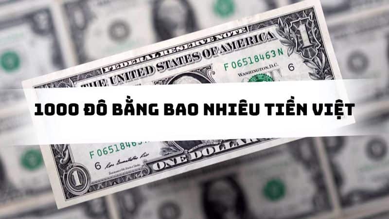 Tỷ giá 1000 đô bằng bao nhiêu tiền Việt Nam hôm nay