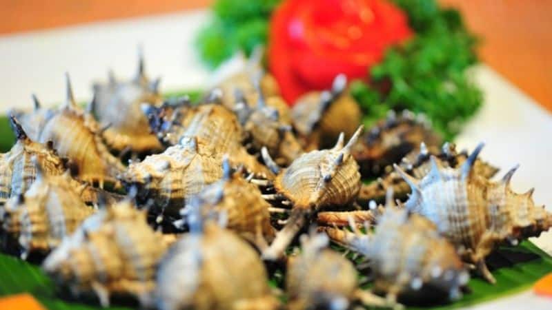 Ốc gai xương rồng - Đặc sản trứ danh của Phú Quốc