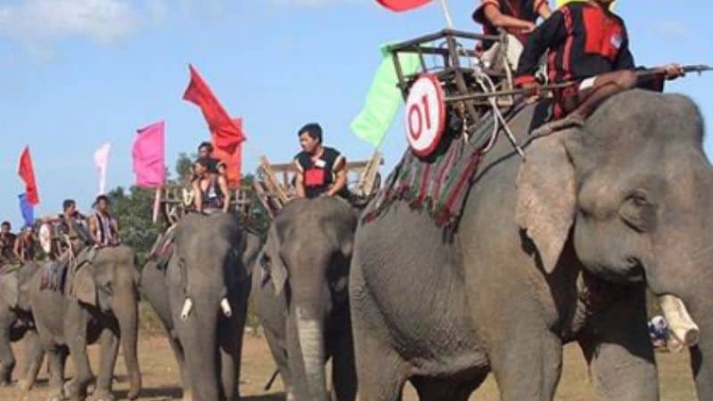Nét đẹp voi diễu hành tại Tây Nguyên