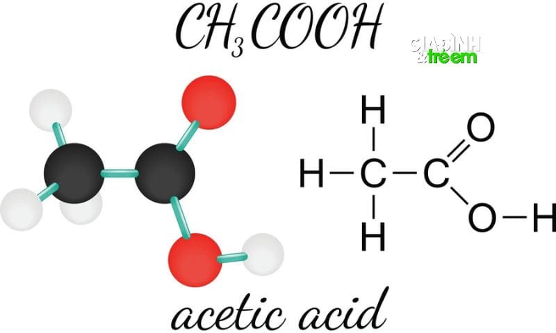 Hiểu rõ về cấu tạo và sự liên kết giữa C4H10 và CH3COOH