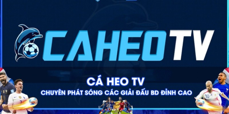 Tìm hiểu tổng quan về Caheo TV